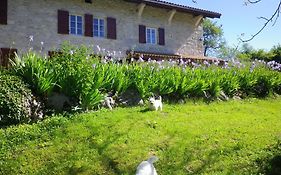 Chambre D'Hotes La Haie Fleurie